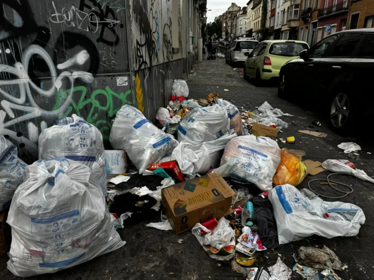 Brussels Parlement richt overlegcommissie over openbare netheid op