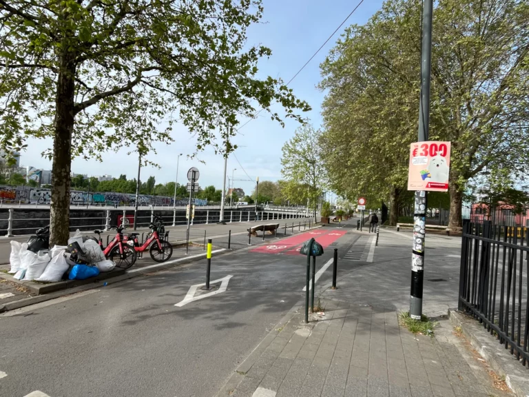 Bruxelles, ma (pou)belle: afvalprobleem in Brussel legt sociale problemen bloot